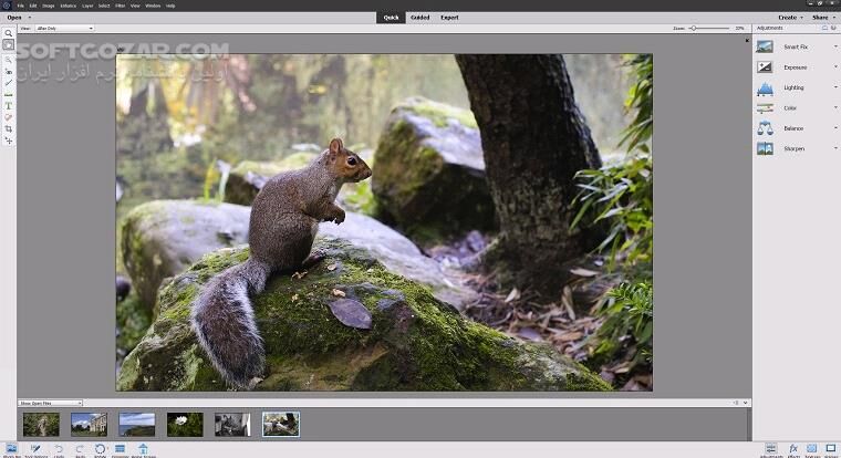 دانلود Adobe Photoshop Elements 2026 26.2 / 2025 25.2 / 2024 24.0 / 2023 / 2022.4  / macOS 2022 - دانلود ادوب فوتوشاپ المنت - سافت گذر