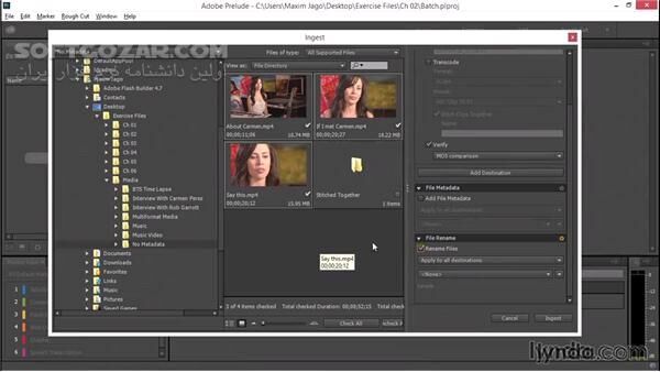 دانلود Adobe Prelude 2022 22.6.0.6 / 2021 / 2020 / 2019 / macOS - دانلود ادوب پرلود - سافت گذر