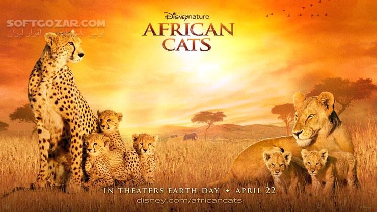 دانلود African Cats - دانلود مستند گربه سانان - سافت گذر