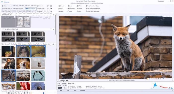 دانلود Ashampoo Photo Commander 19.0.2 - دانلود ویرایش عکس - سافت گذر