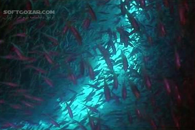 دانلود Atlantis - دانلود مستند آتلانتیس - سافت گذر