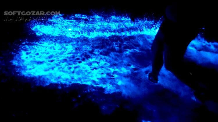 دانلود Attenborough