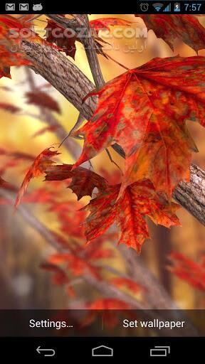دانلود Autumn Tree 1.4 for Android +2.2 - دانلود برگهای پاییزی برای اندروید - سافت گذر