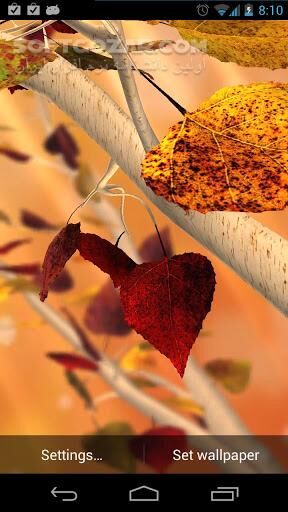 دانلود Autumn Tree 1.4 for Android +2.2 - دانلود برگهای پاییزی برای اندروید - سافت گذر