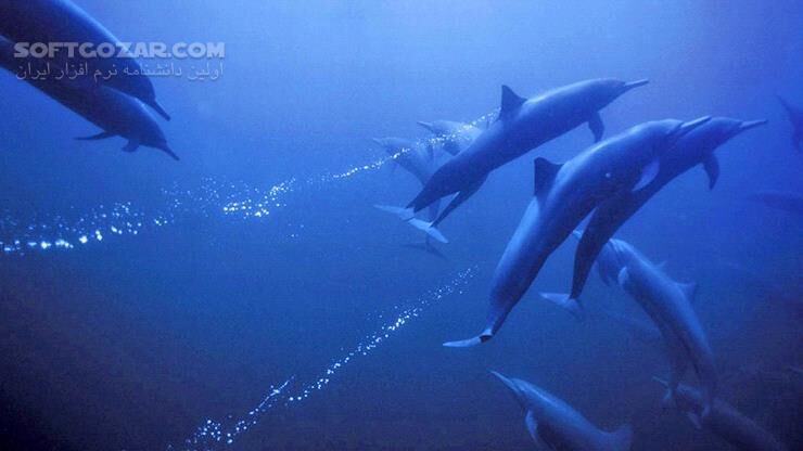 دانلود Deep Blue - دانلود مستند دریاها و اقیانوس ها - سافت گذر