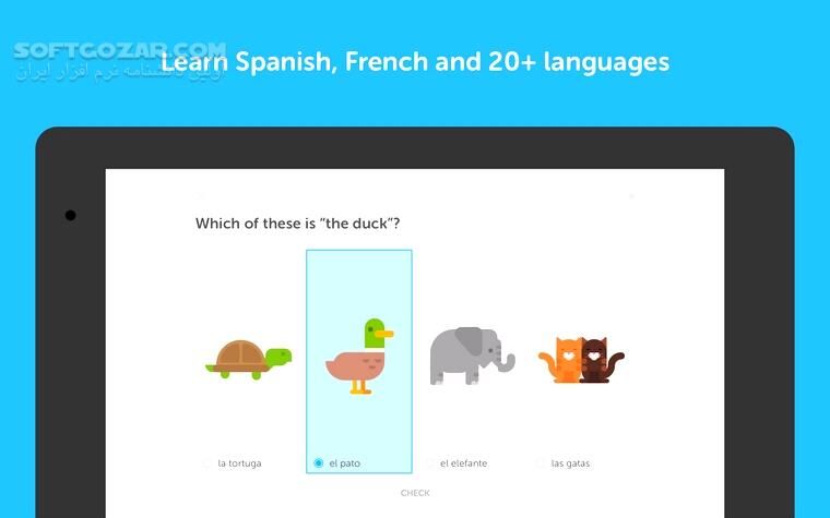 دانلود Duolingo: Learn Languages 6.60.6 for Android +10 - دانلود دولینگو برای اندروید - سافت گذر