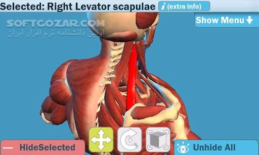 دانلود Easy Anatomy 3D 5.0 for Android - دانلود آناتومی سه بعدی و کامل بدن برای اندروید - سافت گذر