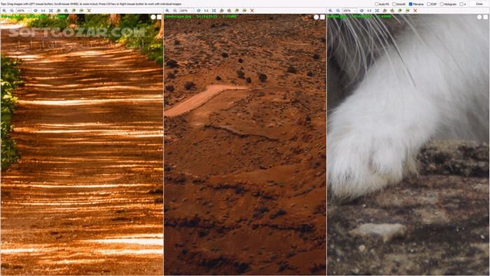 دانلود FastStone Image Viewer 8.3 Corporate - دانلود ویرایش عکس - سافت گذر