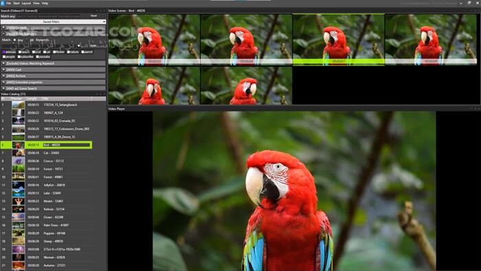 دانلود Fast Video Cataloger 9.4.0.0 - دانلود مدیریت ویدئوها - سافت گذر