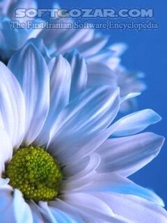 دانلود مجموعه عکس گل - دانلود مجموعه ای از پس زمینه گلهای زیبا برای اندروید - سافت گذر