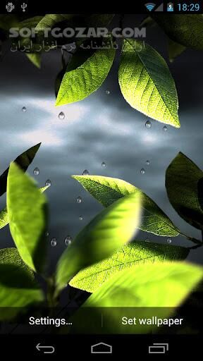 دانلود Fresh Leaves 1.8 for Android +2.1 - دانلود برگ های زیبا و طبیعی برای اندروید - سافت گذر