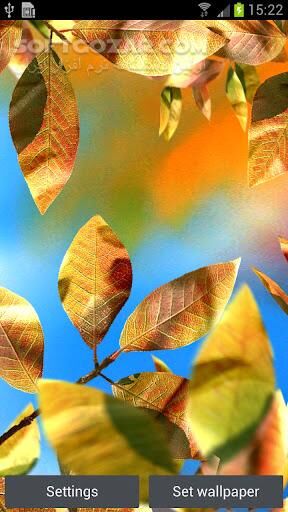 دانلود Fresh Leaves 1.8 for Android +2.1 - دانلود برگ های زیبا و طبیعی برای اندروید - سافت گذر