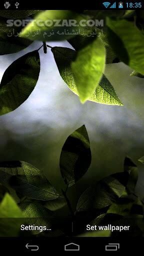 دانلود Fresh Leaves 1.8 for Android +2.1 - دانلود برگ های زیبا و طبیعی برای اندروید - سافت گذر