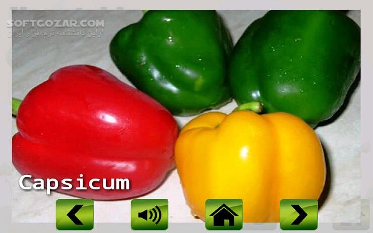 دانلود Fruit veg shape color for kids 3.1 for Android +3.0 - دانلود آموزش میوه ها، سبزیجات، رنگ ها به زبان انگلیسی برای کودکان برای اندروید - سافت گذر