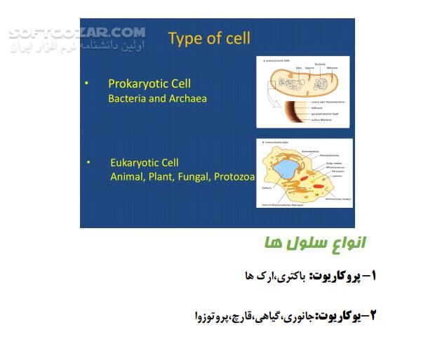 دانلود مفاهیم اصلی ژنتیک - دانلود کتاب سلول و عناصر ژنتیکی سلولی - سافت گذر