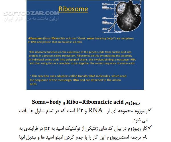 دانلود مفاهیم اصلی ژنتیک - دانلود کتاب سلول و عناصر ژنتیکی سلولی - سافت گذر