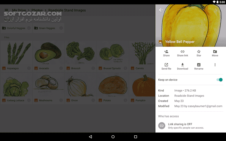 دانلود Google Drive 2.25.497.5 For Android +6.0 - دانلود گوگل درایو اندروید برای اندروید - سافت گذر