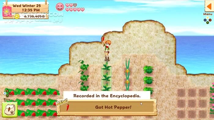 دانلود Harvest Moon: Light of Hope - دانلود بازی شبیه ساز کشاورزی و دامداری - سافت گذر