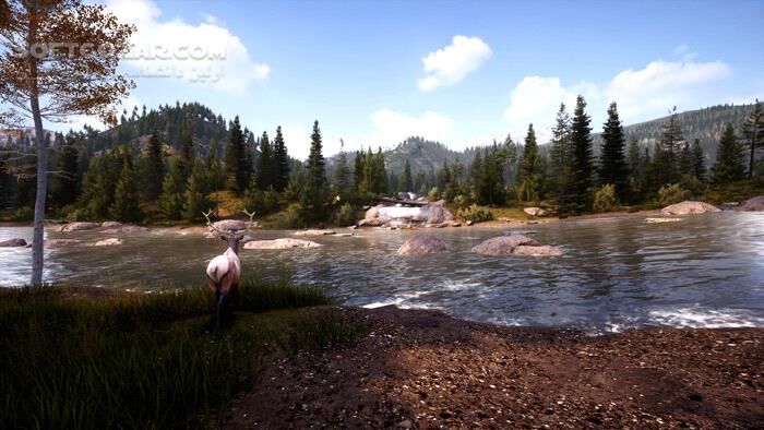 دانلود Hunting Simulator 2 Build 5501876 - دانلود بازی شبیه ساز شکار برای کامپیوتر - سافت گذر