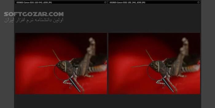 دانلود IDimager Photo Supreme 2025.3.3.8139 - دانلود مدیریت عکس ها - سافت گذر