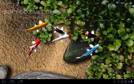 دانلود Koi Live Wallpaper 1.5 for Android - دانلود رودخانه زیبا و کاملا طبیعی با ماهیهای گوناگون برای اندروید - سافت گذر