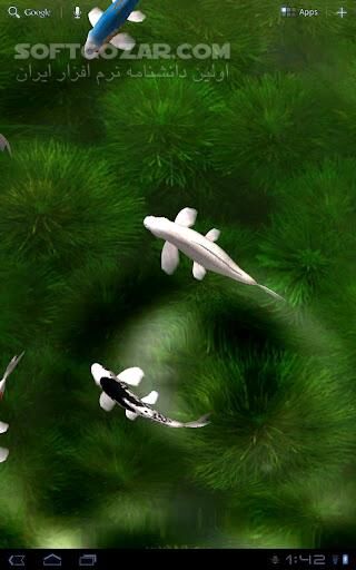 دانلود Koi Live Wallpaper 1.5 for Android - دانلود رودخانه زیبا و کاملا طبیعی با ماهیهای گوناگون برای اندروید - سافت گذر