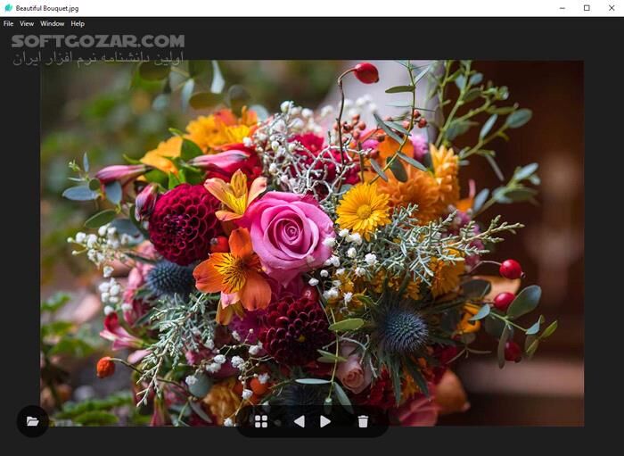 دانلود LeafView 3.9.4 - دانلود مشاهده عکس - سافت گذر