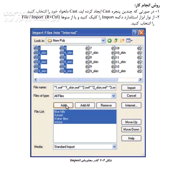دانلود کاربر Director - دانلود کتاب آموزش دایرکتور - سافت گذر