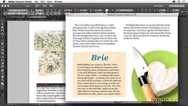 دانلود Lynda - Adapting a Print Layout for Digital Publishing - دانلود فیلم آموزش سازگار و آماده کردن یک طرح‌بندی چاپ برای انتشار دیجیتال - سافت گذر