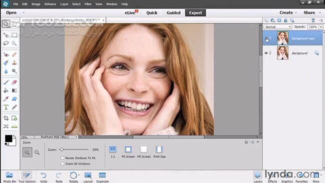 دانلود Lynda - Using Lightroom and Photoshop Elements Together - دانلود فیلم آموزش استفاده‌ی همزمان از نرم‌افزارهای لایت‌روم و فتوشاپ اِلِمِنتس  - سافت گذر