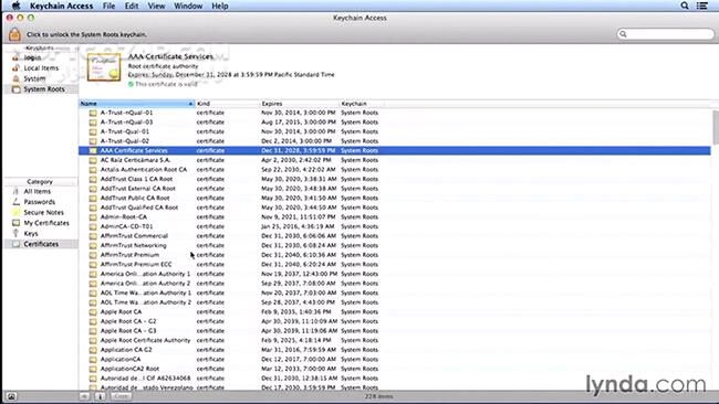 دانلود Lynda - Understanding Secure Sockets Layer - دانلود فیلم آموزش آشنایی با لایه‌ی سوکت‌های امن - اس‌اس‌ال - سافت گذر
