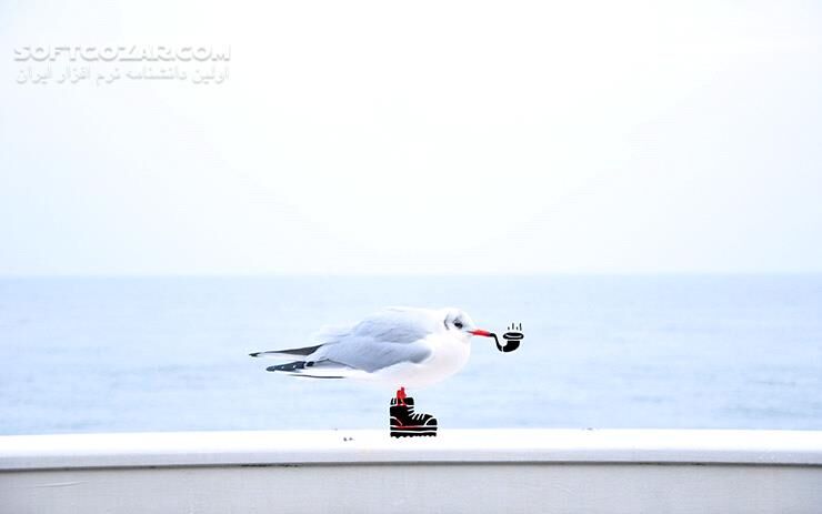 دانلود Over Pro 6.10.1 for Android +4.0 - دانلود ویرایش عکس با متون برای اندروید - سافت گذر