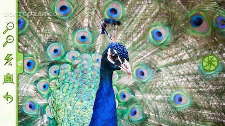 دانلود Paper Artist 2.1.0 for Android +4.0 - دانلود افکت های کاغذی برای اندروید - سافت گذر