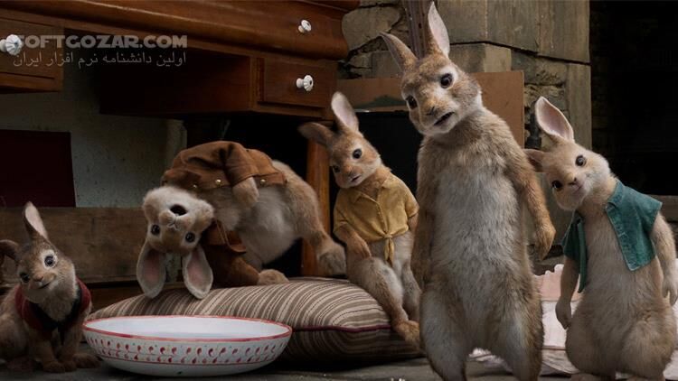 دانلود Peter Rabbit - دانلود پیتر خرگوشه - سافت گذر