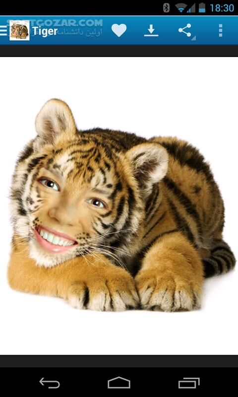 دانلود Photo Lab PRO 3.13.74 for Android +6.0 - دانلود مونتاژ عکس برای اندروید - سافت گذر