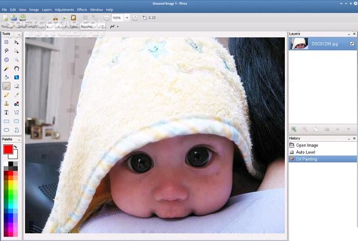 دانلود Pinta 3.1 - دانلود ویرایش عکس - سافت گذر