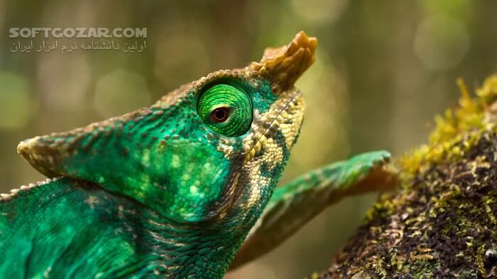 دانلود Planet Earth II - دانلود مستند سیاره زمین 2 با کیفیت عالی - سافت گذر