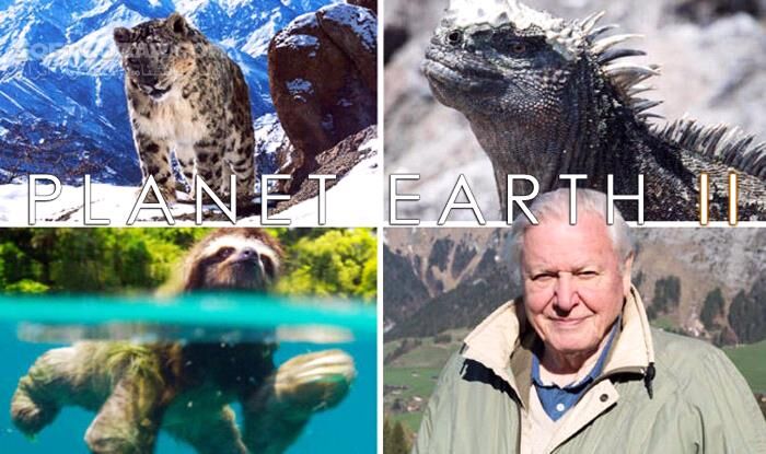 دانلود Planet Earth II - دانلود مستند سیاره زمین 2 با کیفیت عالی - سافت گذر