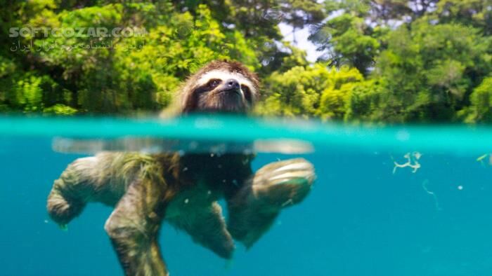 دانلود Planet Earth II - دانلود مستند سیاره زمین 2 با کیفیت عالی - سافت گذر