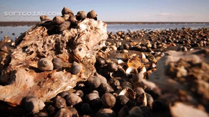 دانلود Secrets of the North Sea - دانلود مستند دریاها و اقیانوس ها - سافت گذر