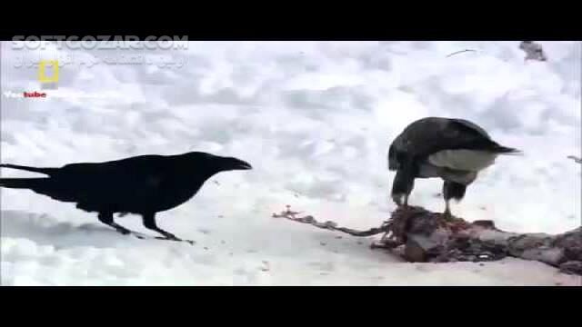 دانلود Siberia Documentary - دانلود مستند سیبری - سافت گذر