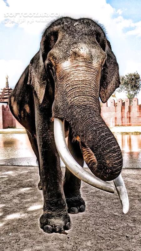 دانلود Simply HDR 3.99 for Android +4.0 - دانلود به سادگی تصاویر خود را بهینه کنید! برای اندروید - سافت گذر