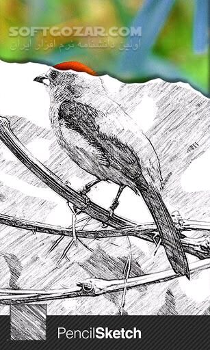 دانلود Sketch Guru 1.4.2 for Android - دانلود طراحی با رنگ ها برای اندروید - سافت گذر