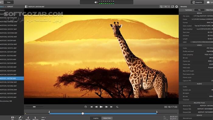 دانلود Sony Catalyst Browse / Prepare Suite 2025.3 - دانلود مدیریت ویدئوهای سونی - سافت گذر