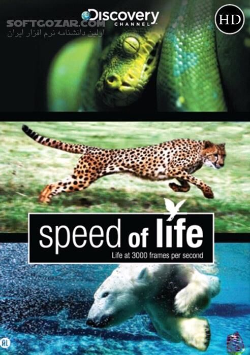 دانلود Speed of Life Documentary - دانلود مستند حیات وحش از دیسکاوری - سافت گذر