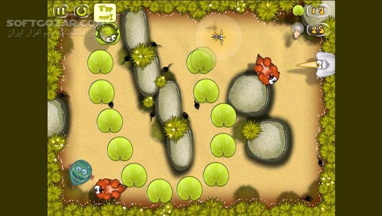 دانلود Starving Frog - دانلود بازی قورباغه‌ی گرسنه - سافت گذر
