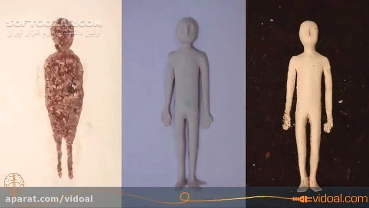 دانلود ویدئوی کوتاه با موضوع بعد از مرگ چه اتفاقی برای بدن ما می‌افتد؟! - دانلود پُربازدید‌ترین ویدئوهای سال - سافت گذر