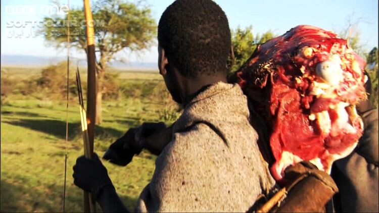 دانلود Three Men vs. Fifteen Hungry Lions - Human Planet, Grasslands - دانلود شکار شیرها - سافت گذر