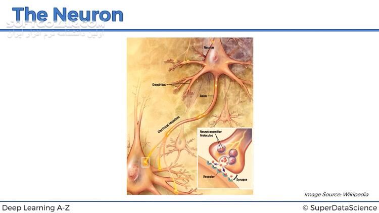 دانلود Udemy - Deep Learning A-Z™ Hands-On Artificial Neural Networks - دانلود آموزش شبکه های عصبی مصنوعی - سافت گذر