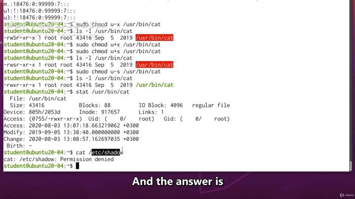 دانلود Udemy - Linux Administration: The Complete Linux Bootcamp for 2022 - دانلود دوره آموزش کامل لینوکس - سافت گذر